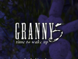 Granny 5 image